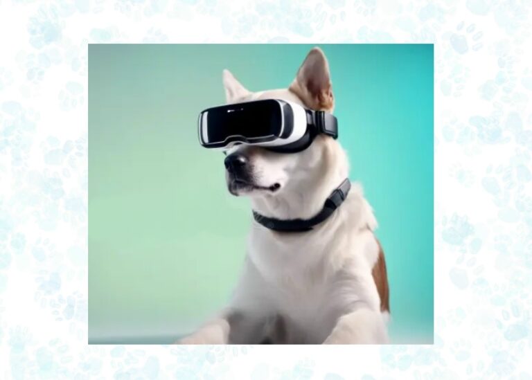 augmented reality for pets
