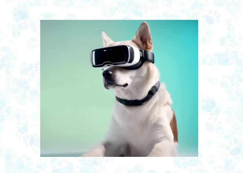 augmented reality for pets