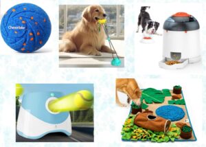 interactive toys for dogs