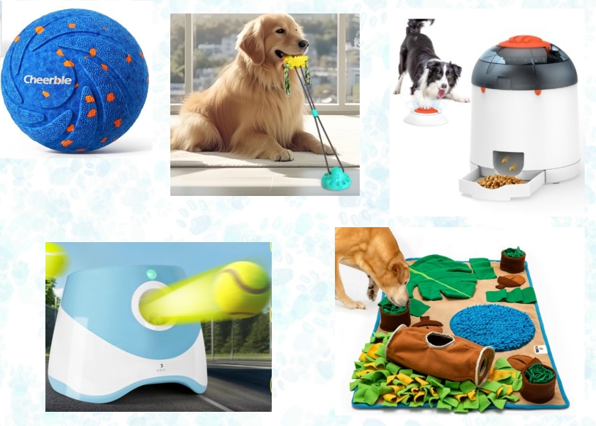 interactive toys for dogs
