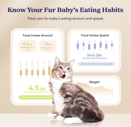 smart-automatic-feeder