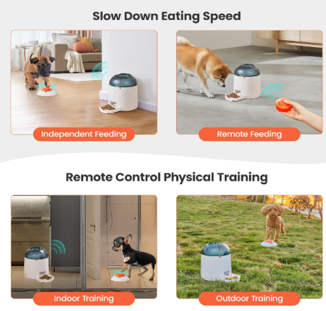 Potarama potaroma puzzle feeder