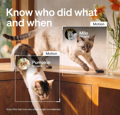 petlibro scout smart
