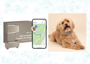 gps trackers for dogs