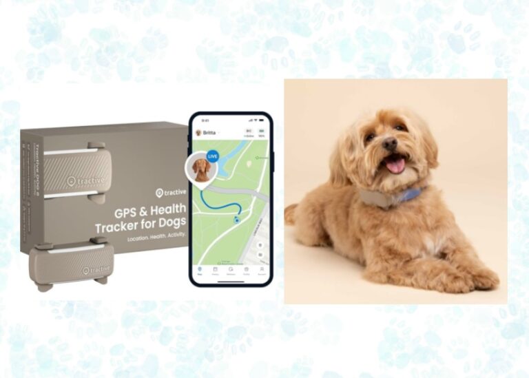gps trackers for dogs