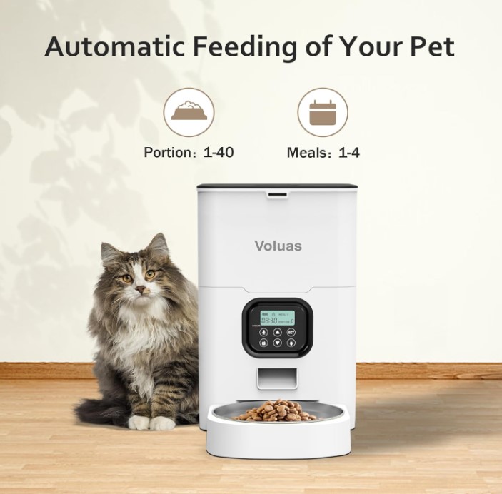 best-automatic-feeder
