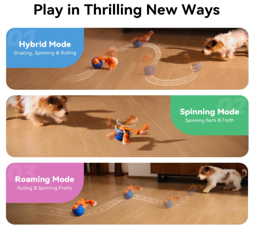 Cheerble Wicked Ball Rolly