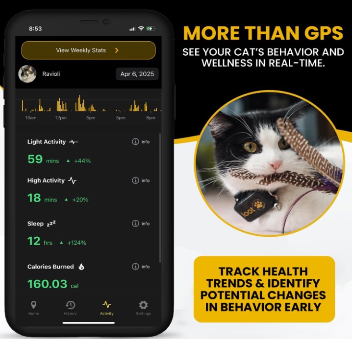 LootPaw2 gps-tracker-for-cats