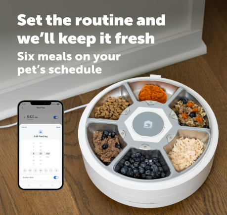 PetSafe FreshFeed 2