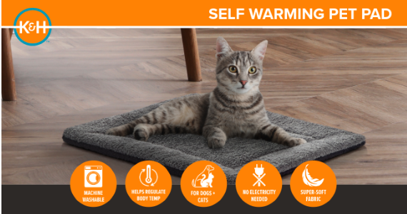 Screenshot 2026-03-01 100928