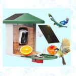 smart bird feeder