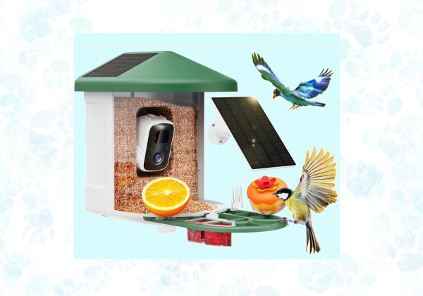 Smart Bird Feeder smart bird feeder