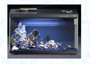 smart-aquairum