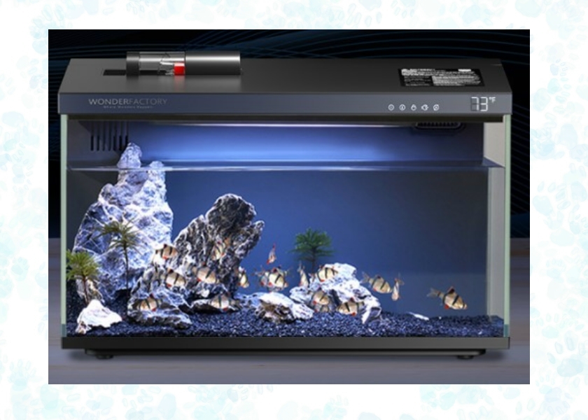smart-aquairum
