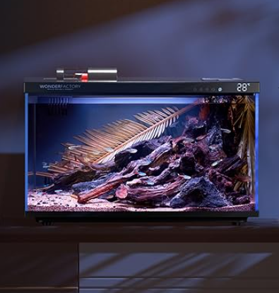 smart aquarium