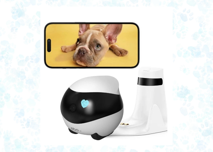 enabot-ebo-se-robot-for-pet-monitoring