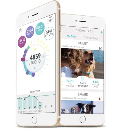 pet-health-monitoring-device
