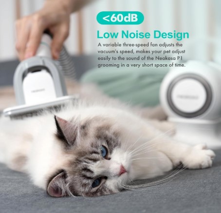 pet grooming kit