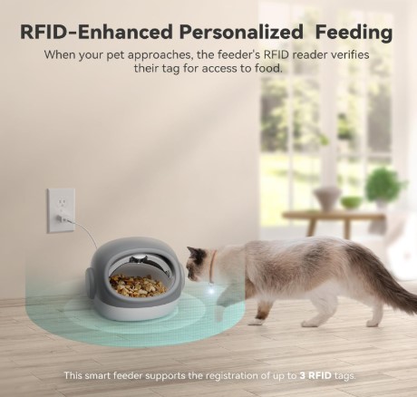 stop your dog from eating another dog's food
