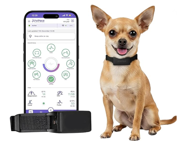 dog activity & health tracker