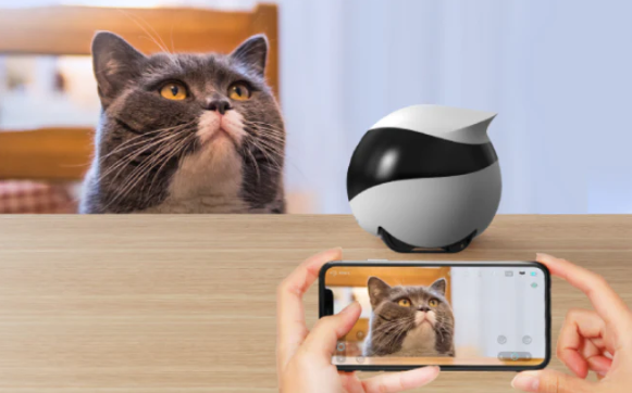 enabot-ebo-se-remote pet monitoring