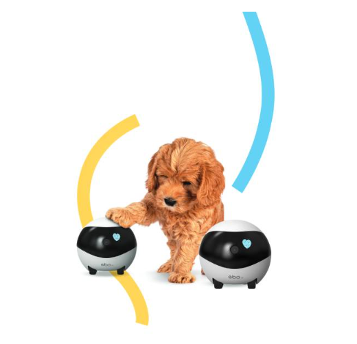 enabot-ebo-se-smart-pet-camera-robot