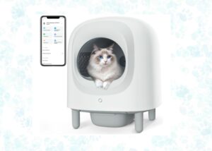 cheap self-cleaning litter box