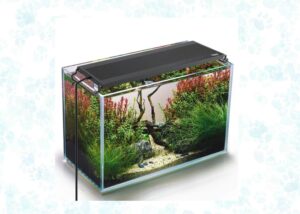 smart-LED-aquarium-lights
