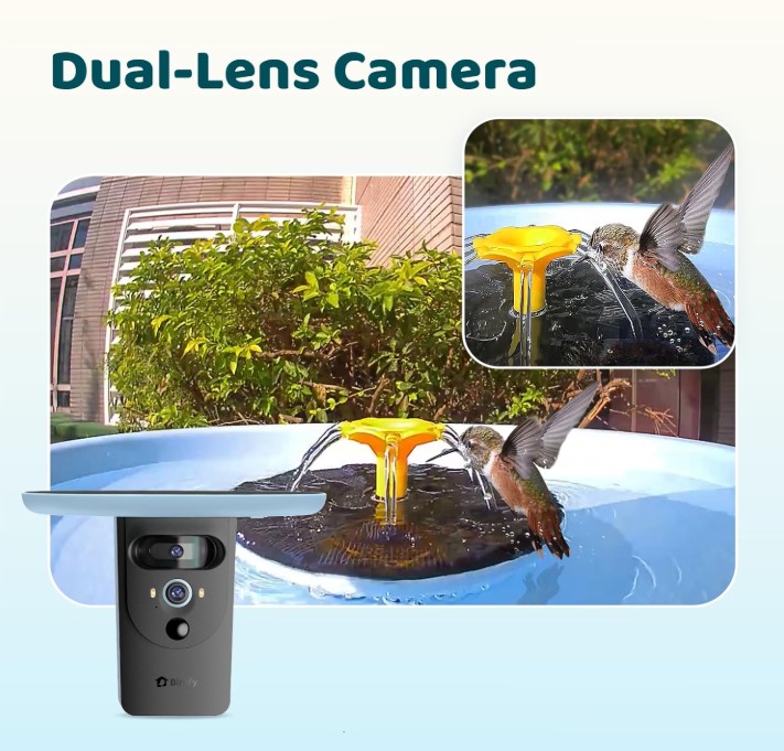birdfy smart bird bath