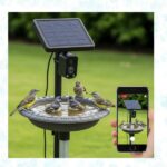 smart bird bath