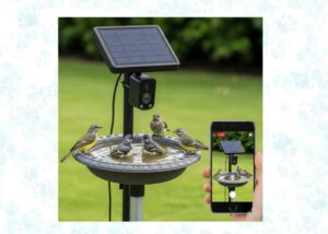 smart bird bath