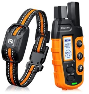 e-training collar