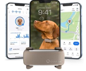 gps trackers for dogs
