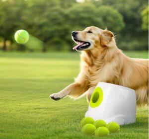 automatic ball launcher