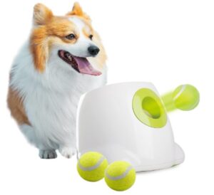 automatic ball launcher