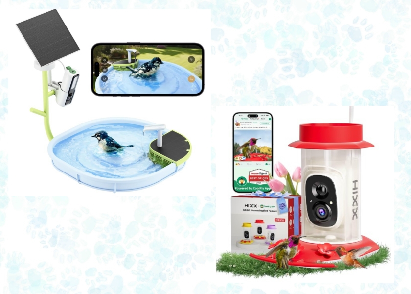 smart tech for birds