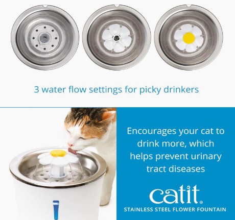 smart water fountain