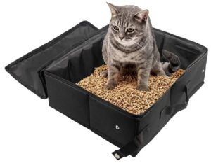 travel with pets