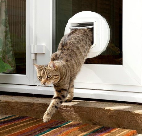 smart automatic pet door