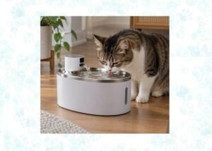 wireless pet water fountains