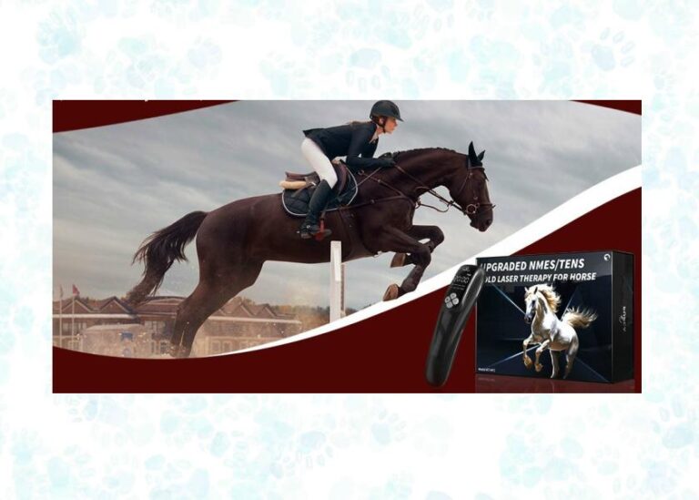 laser therapy device