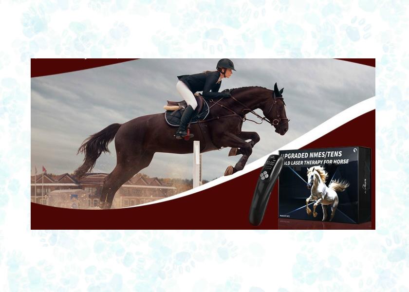 cold laser therapy device for horses