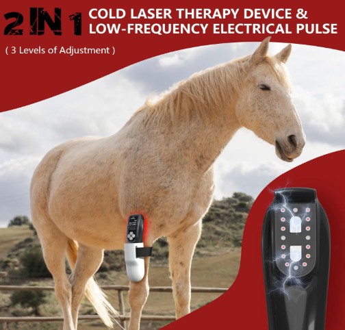 cold laser therapy device for hoses