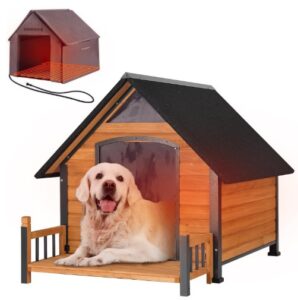 heated dog house