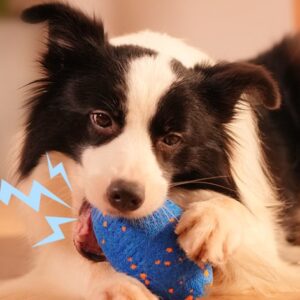 interactive toys for dogs