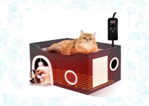 indoor heated cat house