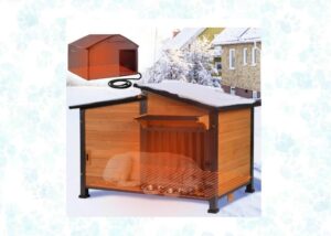 heated dog house
