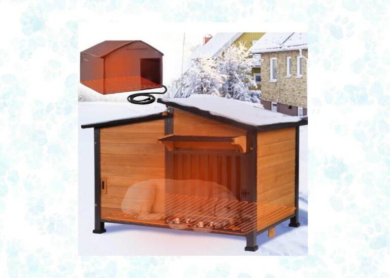 heated dog house