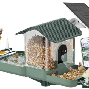 bird feeder with bath
