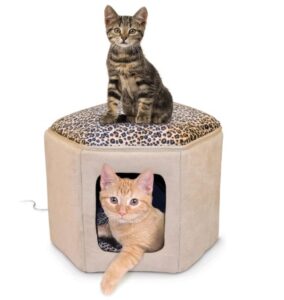 heated indoor cat house